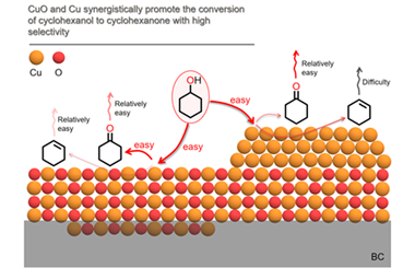 Surface confined nano-copper synergistically promotes the tehydrogenation of cyclohexanol to cyclohexanone 2026.100917